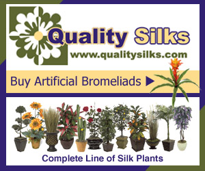 Silk Plants