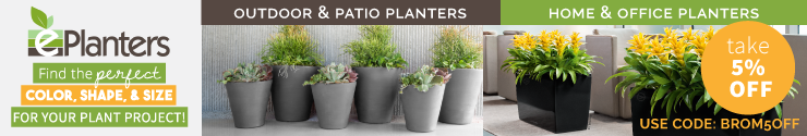 New Pro Containers