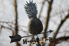 Pineapple Weather Vane